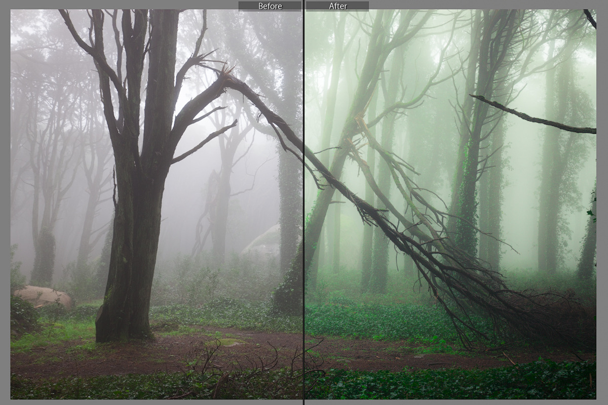 Magic woodland-SUMMER for Lightroom, an Action Add-On by khoroshkov (Photo 4 of 5)