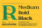 Raimond - Serif font family, a Serif Font by Artistic & Unique (Thumbnail 8 of 15)