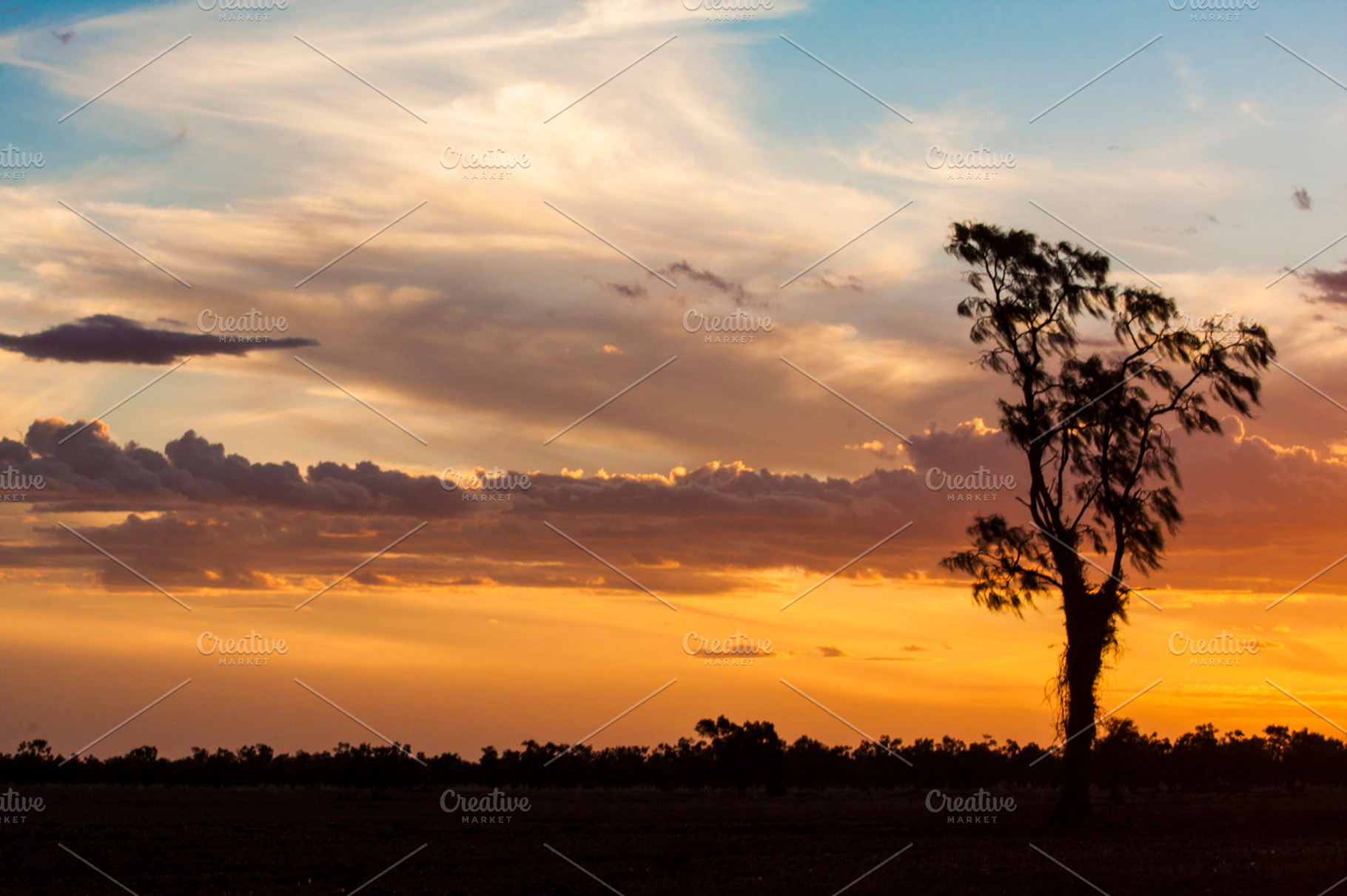 Outback Sunset Stock Photo Containing Sunset And Tree