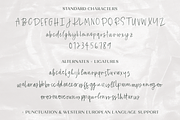 Eireann Signature Script, a Script Font by Beck McCormick (Thumbnail 10 of 10)