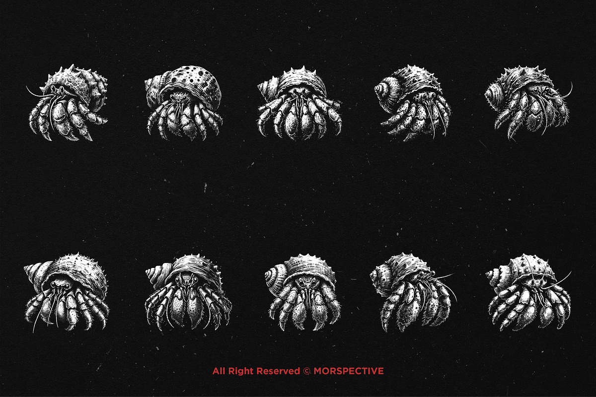 10 Bundle Dark Art Hermit Crab, an Illustration by Morspective (Photo 6 of 7)