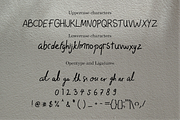 Joyberry - Handwritten Font, a Handwritten Font by imdeyaa (Thumbnail 2 of 7)