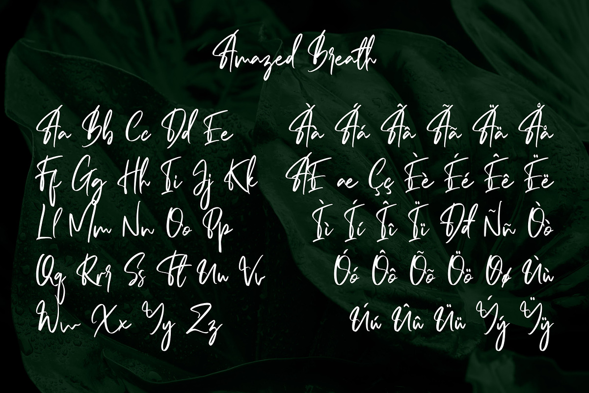 Amazed Breath, a Script Font by Almarkhatype (Photo 11 of 15)