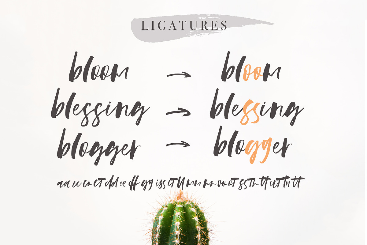 Dessetum Font preview 7