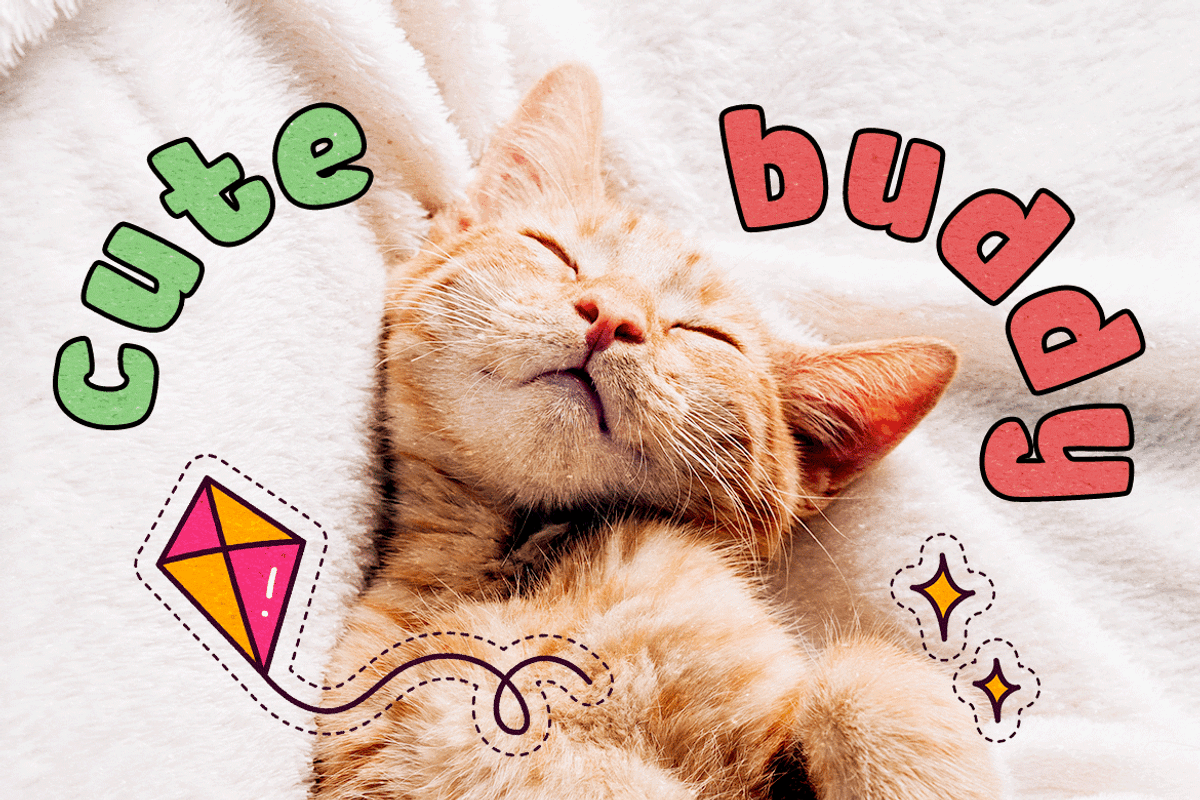 Toadler - Cute Cartoon Font, a Sans Serif Font by Modestype Studio (Photo 7 of 11)