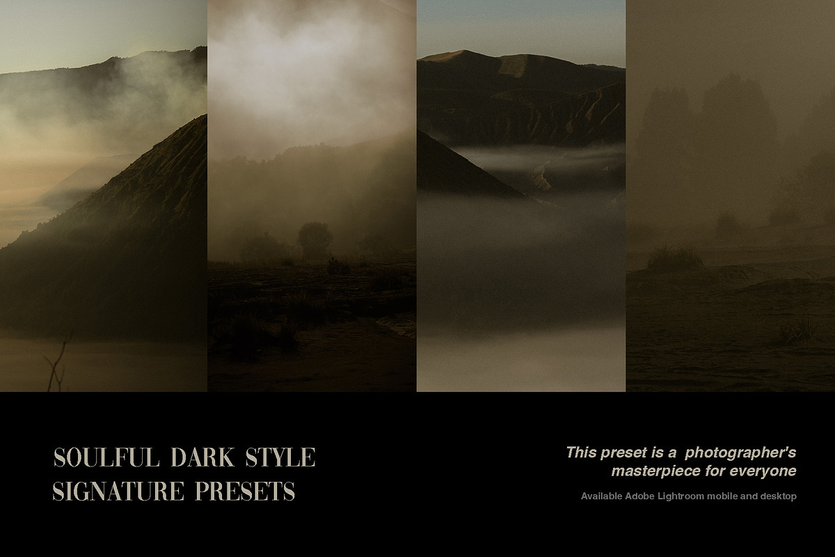 Soulful looks like film Presets, a Preset Add-On by Lookslabs (Photo 2 of 7)
