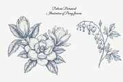 23 Collection - Peony Flowers, an Illustration by By_Pedram (Thumbnail 5 of 6)