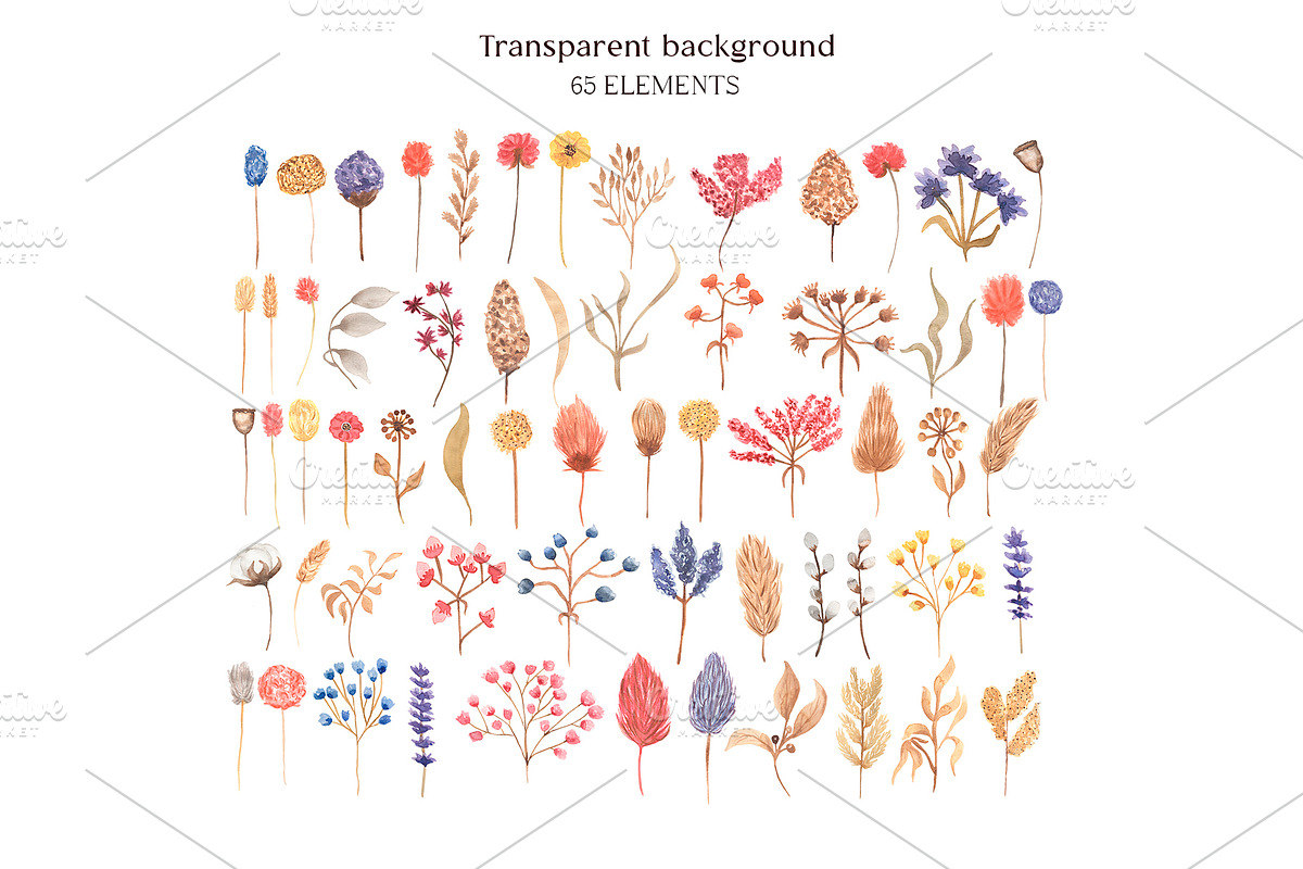 Dried Herbs and Wildflowers, an Illustration by MayaNavits (Photo 3 of 13)