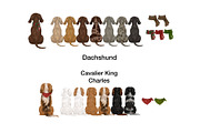 Christmas Couple with Dogs Clipart, a Person Illustration by ColorfulPT (Thumbnail 10 of 11)