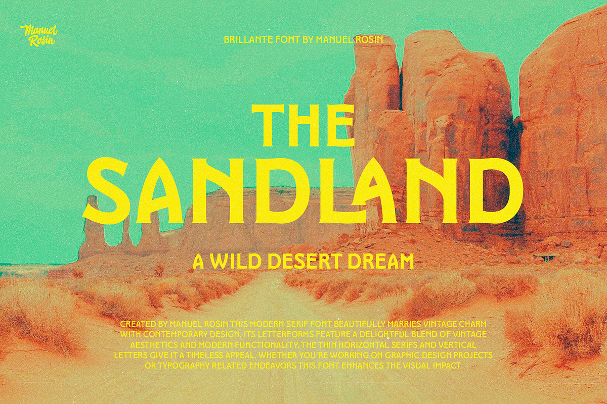 Brillante Typeface, a Serif Font by ManuelRosin (Photo 14 of 19)