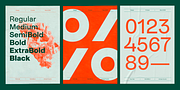 Realgar, a Sans Serif Font by Emtype Foundry (Thumbnail 4 of 11)