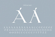 Letterature ligature serif font, a Serif Font by kaer_shop (Thumbnail 11 of 12)