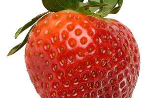 Large ripe strawberry berry with green sepals and leaves, a Food & Drink Photo by ndanko