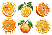 Lime Clipart, Watercolor Citrus PNG, an Illustration by SinaCreation (Thumbnail 3 of 5)