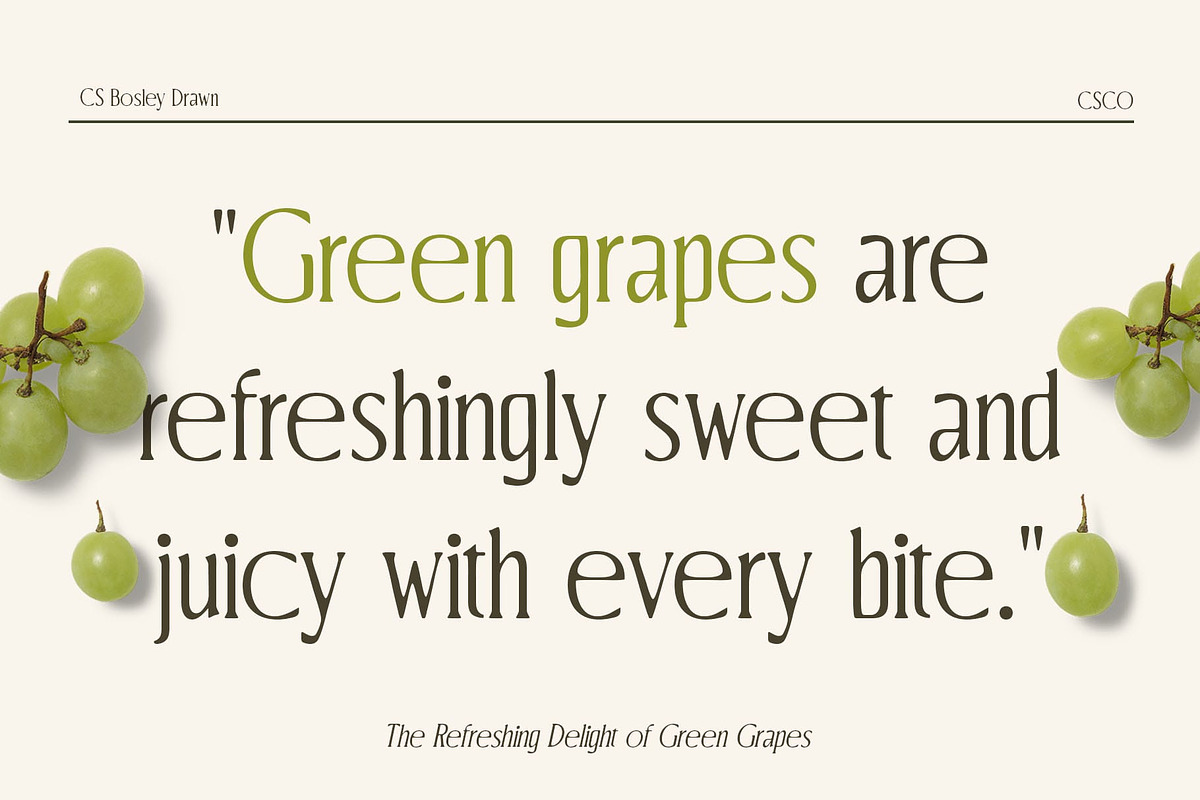 CS Bosley Drawn, a Serif Font by Craft Supply Co. (Photo 3 of 8)