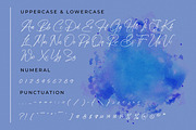 Himalaya Signature, a Handwritten Font by Integritype Studio (Thumbnail 9 of 15)