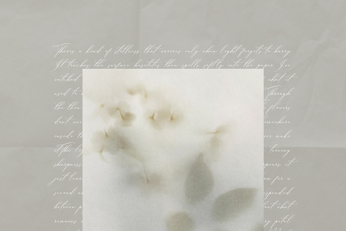 Blur Botanical Vellum Backgrounds, a Background Graphic by alonahaidash (Photo 14 of 14)