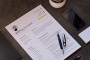 Professional Word Resume CV, a Resume Template by Aspect_Studio (Thumbnail 4 of 4)