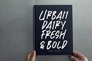 Brawler Knockout, a Handwritten Font by Integritype Studio (Thumbnail 3 of 15)