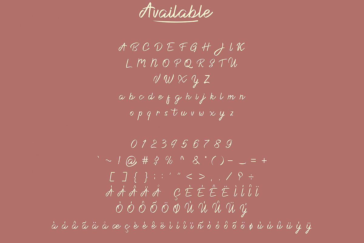 Dacilla Script, a Script Font by Crenadhif Studio (Photo 12 of 15)