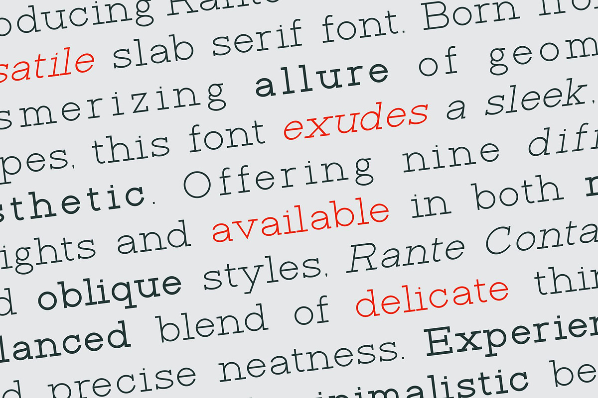 Rante Contact, a Slab Serif Font by takoliko (Photo 2 of 12)
