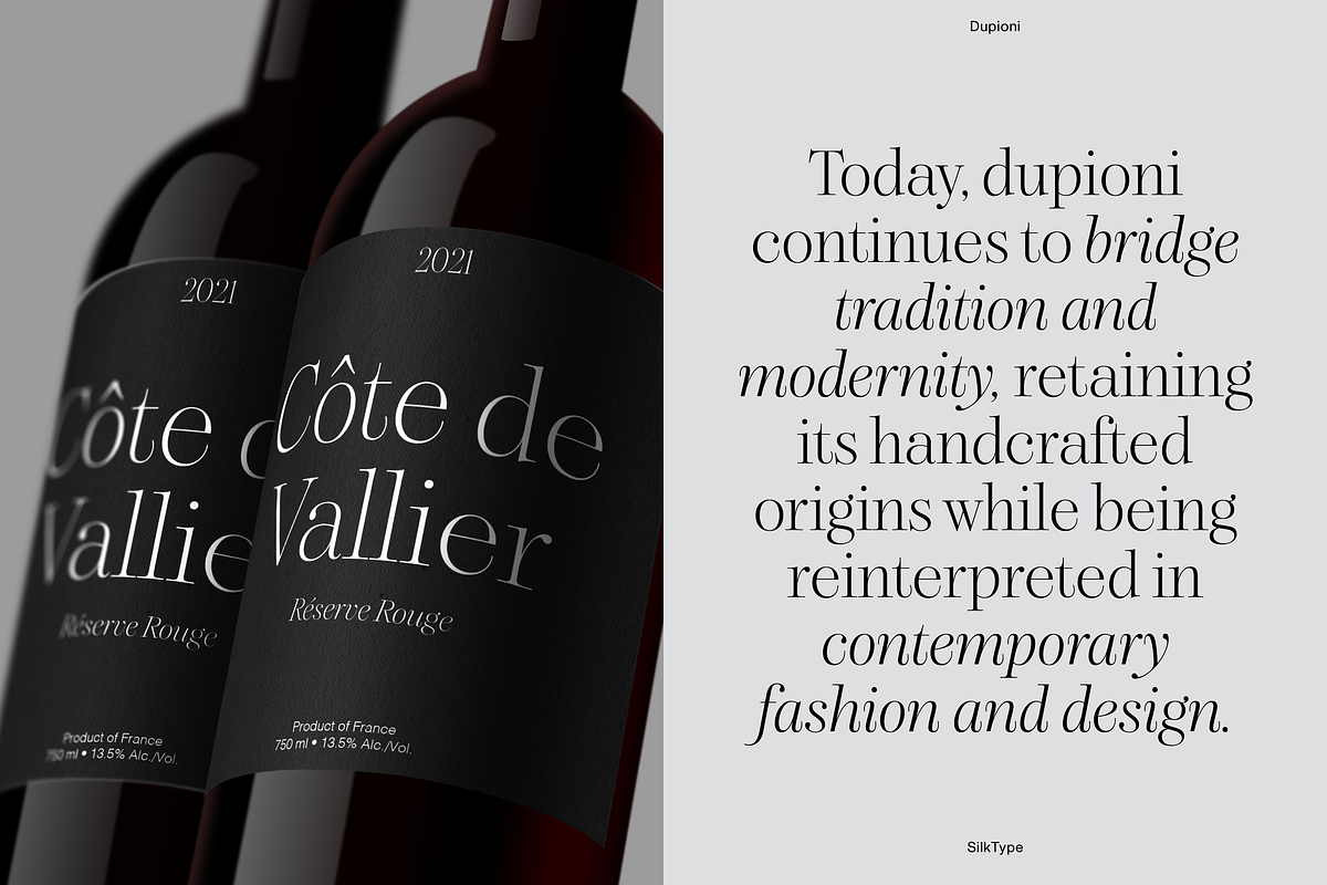 Dupioni Thin - Ligature Serif, a Serif Font by Silktype (Photo 11 of 20)