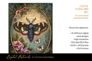 Victorian Botanical Moths Postcards