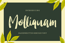 Molliquam - Handwritten Font