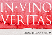 Cresci Exemplar Pro, a Serif Font by California Type Foundry (Thumbnail 9 of 9)