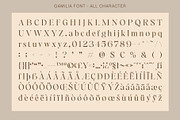 Gamilia - Stylish Serif, a Serif Font by Craft Supply Co. (Thumbnail 8 of 8)