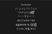 Blinka Bold Script Serif Font Duo, a Script Font by WhymoreArt (Thumbnail 11 of 11)