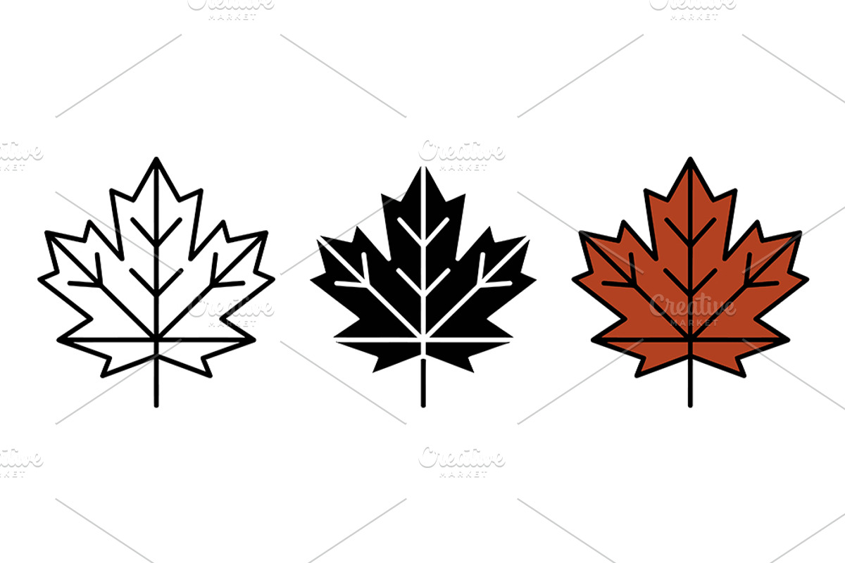Maple Leaf Vector Icon Graphic Set, a Solid Icon by Artonix (Photo 2 of 2)