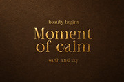 Qogua – Stylish Elegant Serif Font, a Serif Font by Rahagita Studio (Thumbnail 2 of 14)