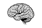 Brain Tree Knowledge Design Bundle, an Illustration by Gaye Art (Thumbnail 4 of 31)