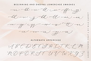 Adore Theory Modern Wedding Font, a Script Font by Mila Garret (Thumbnail 9 of 10)