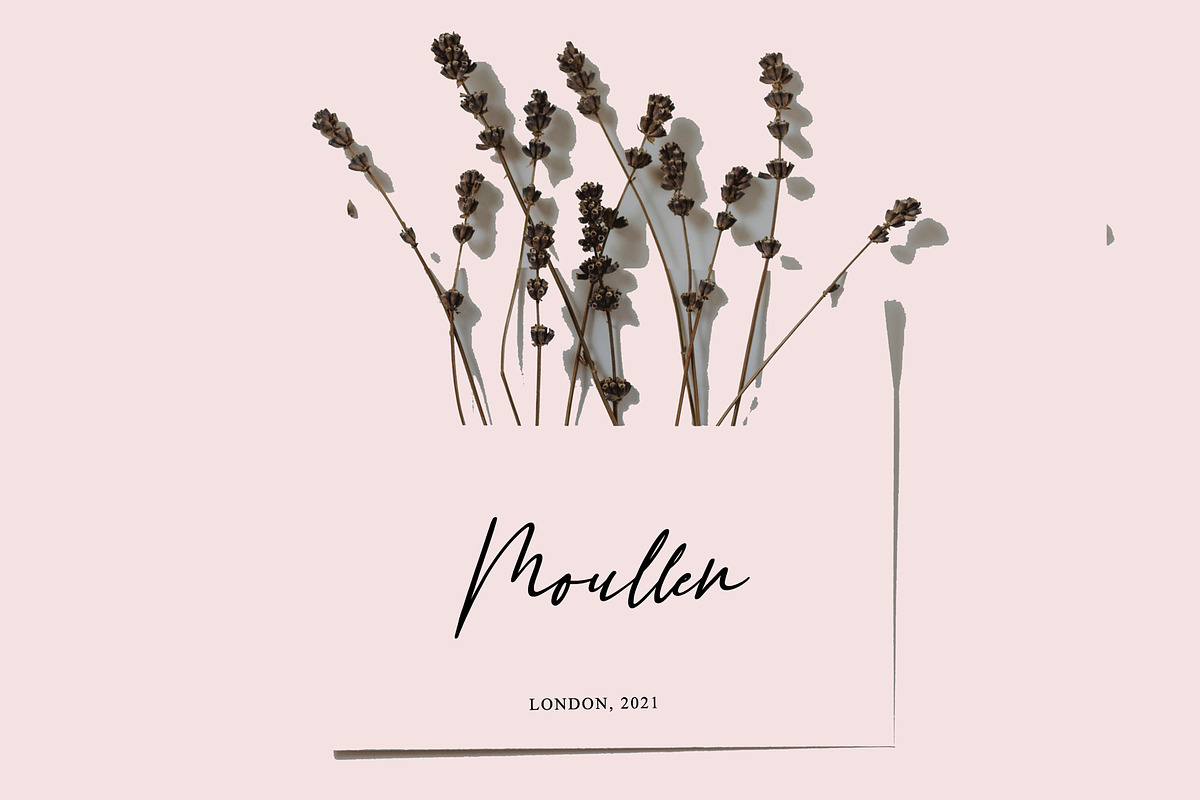 Gattermoon // Modern Script Font, a Script Font by Yuby Creative (Photo 4 of 6)