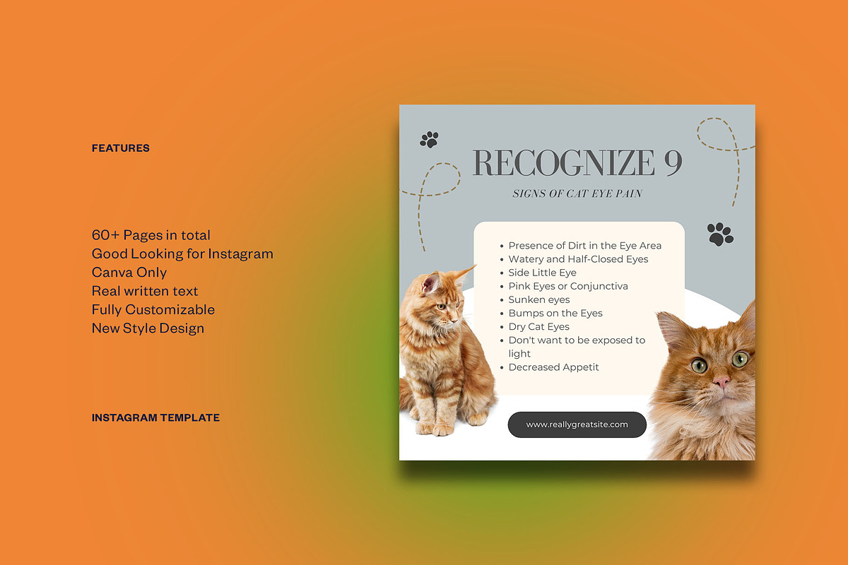 Pet Shop Instagram | CANVA Template, a Social Media Template by Azruca (Photo 2 of 17)
