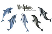 Dolphins - watercolor painting, an Animal Illustration by ramika (Thumbnail 1 of 4)