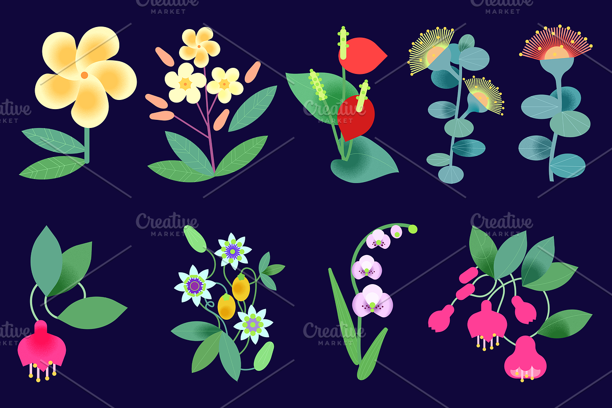 Summer flowers set – 87+ elements, a Decorative Illustration by Schumacher Shop (Photo 12 of 26)