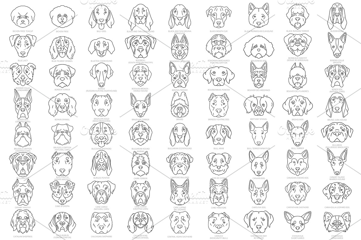 Dog Head Silhouettes Bundle, an Object Graphic by pet design shop (Photo 3 of 12)