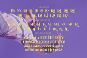Reka Modern Display Font, a Serif Font by Storytype Studio (Thumbnail 14 of 15)