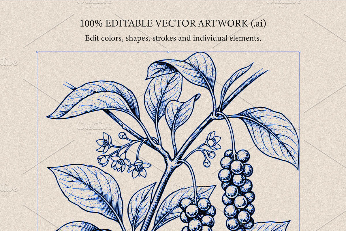 30 Medicinal Herbs & Plants, a Decorative Illustration by Gonez Studio (Photo 13 of 19)