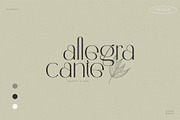 Cerlions - Classic Elegant Display, a Serif Font by BrandSemut (Thumbnail 2 of 11)