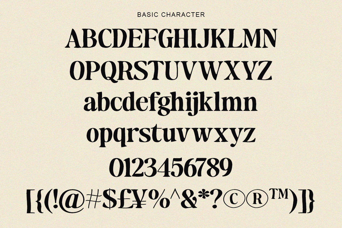 Maker's Serif Serif (30 Font), a Serif Font by Positive TypeFoundry (Photo 13 of 16)