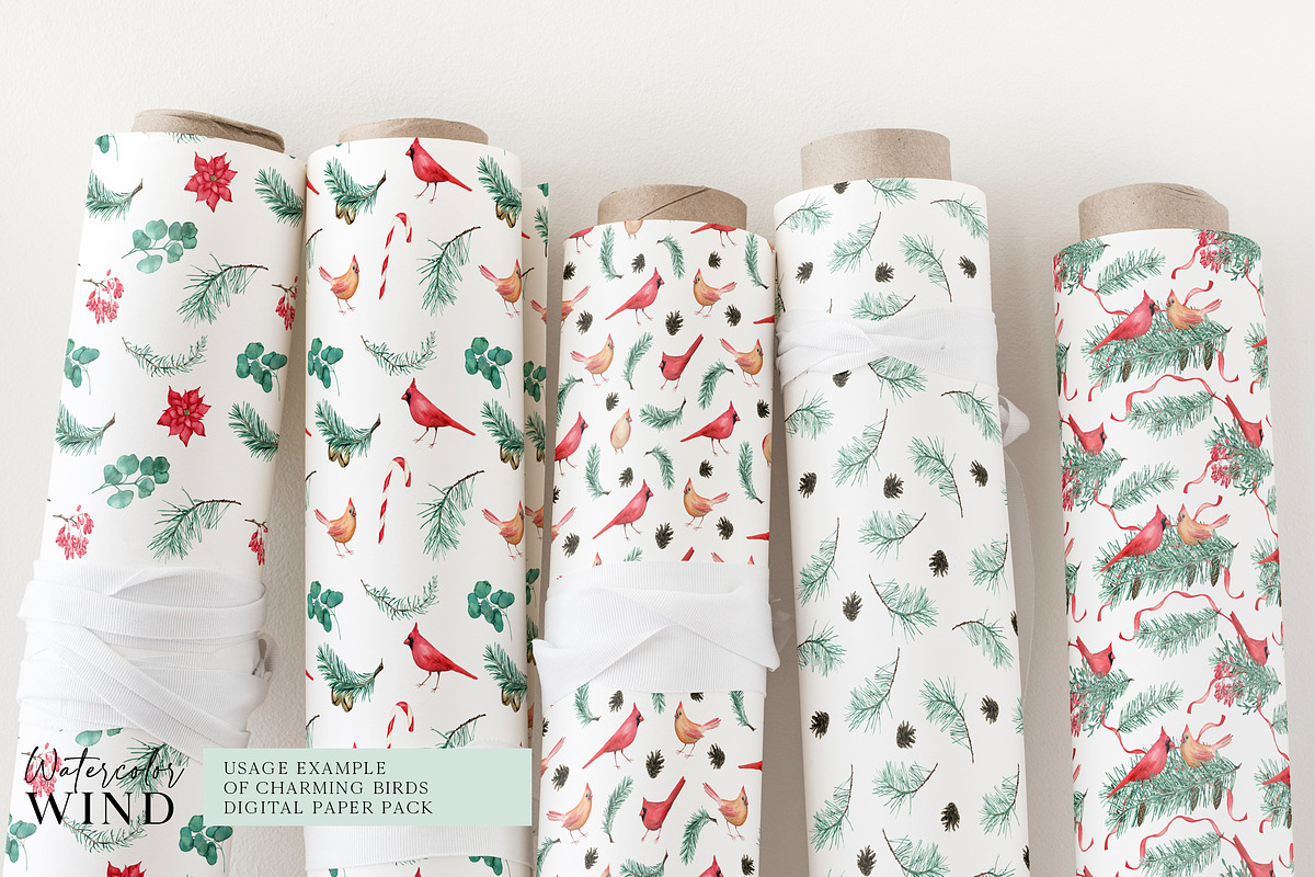Christmas Teal Clipart Cardinal Bird, an Illustration by Ksenia Shmakova (Photo 14 of 16)