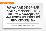 Versatile - 21 Font Designer Bundle!, a Sans Serif Font by Borges Lettering (Thumbnail 17 of 22)