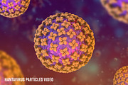 Hantavirus (video), a Scene 3D Model by Avartde Creative (Thumbnail 1 of 2)