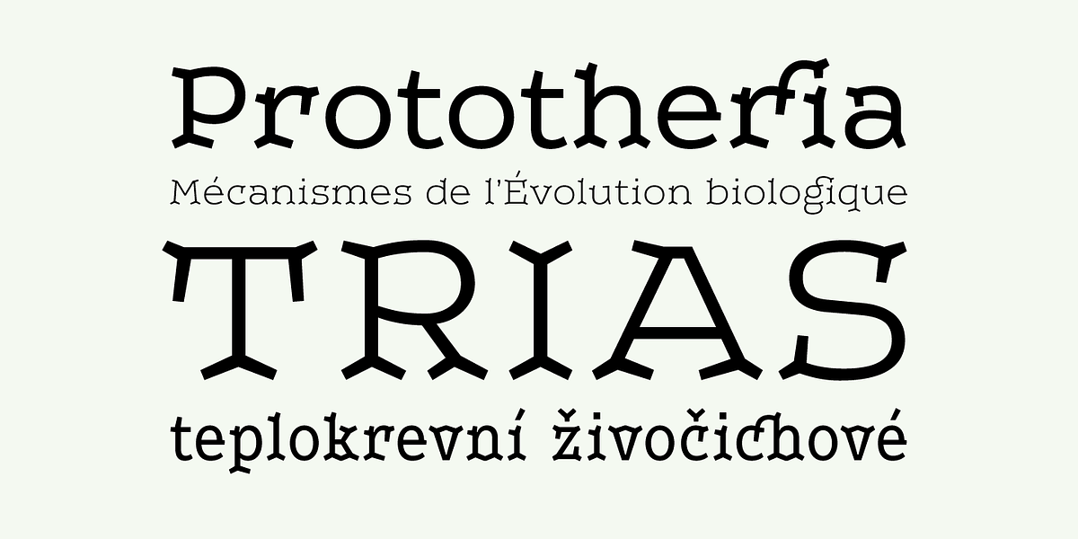 Leto Two, a Serif Font by Glen Jan (Photo 4 of 10)
