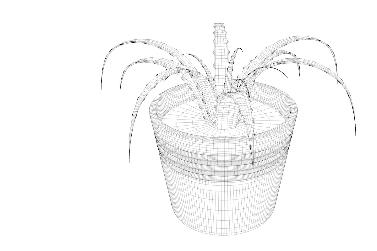 Plant n°1, an Object 3D Model by 3D Furnishing (Photo 14 of 20)