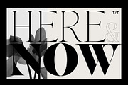 New Tropic - 8 Style Font Family, a Serif Font by Tropical Type (Thumbnail 10 of 15)